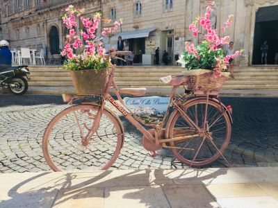 Da Brindisi. Tour di Ostuni, Alberobello e Polignano a Mare